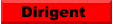 Dirigent